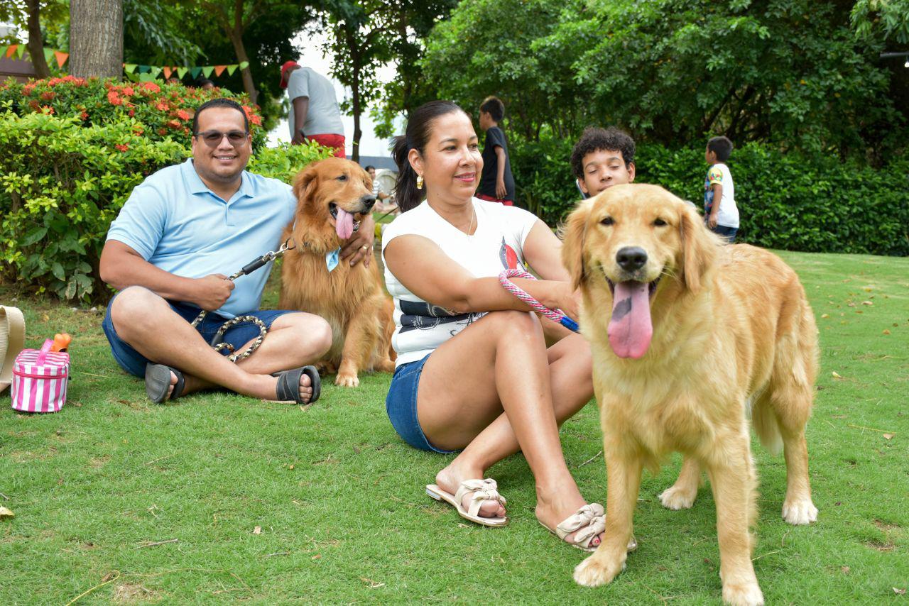 Alcaldía realizó con éxito la primera jornada de adopción y bienestar animal para perros y gatos en Santa Marta
