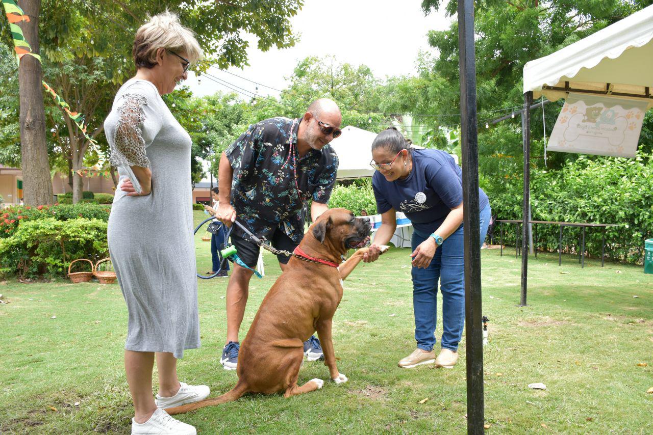 Alcaldía realizó con éxito la primera jornada de adopción y bienestar animal para perros y gatos en Santa Marta