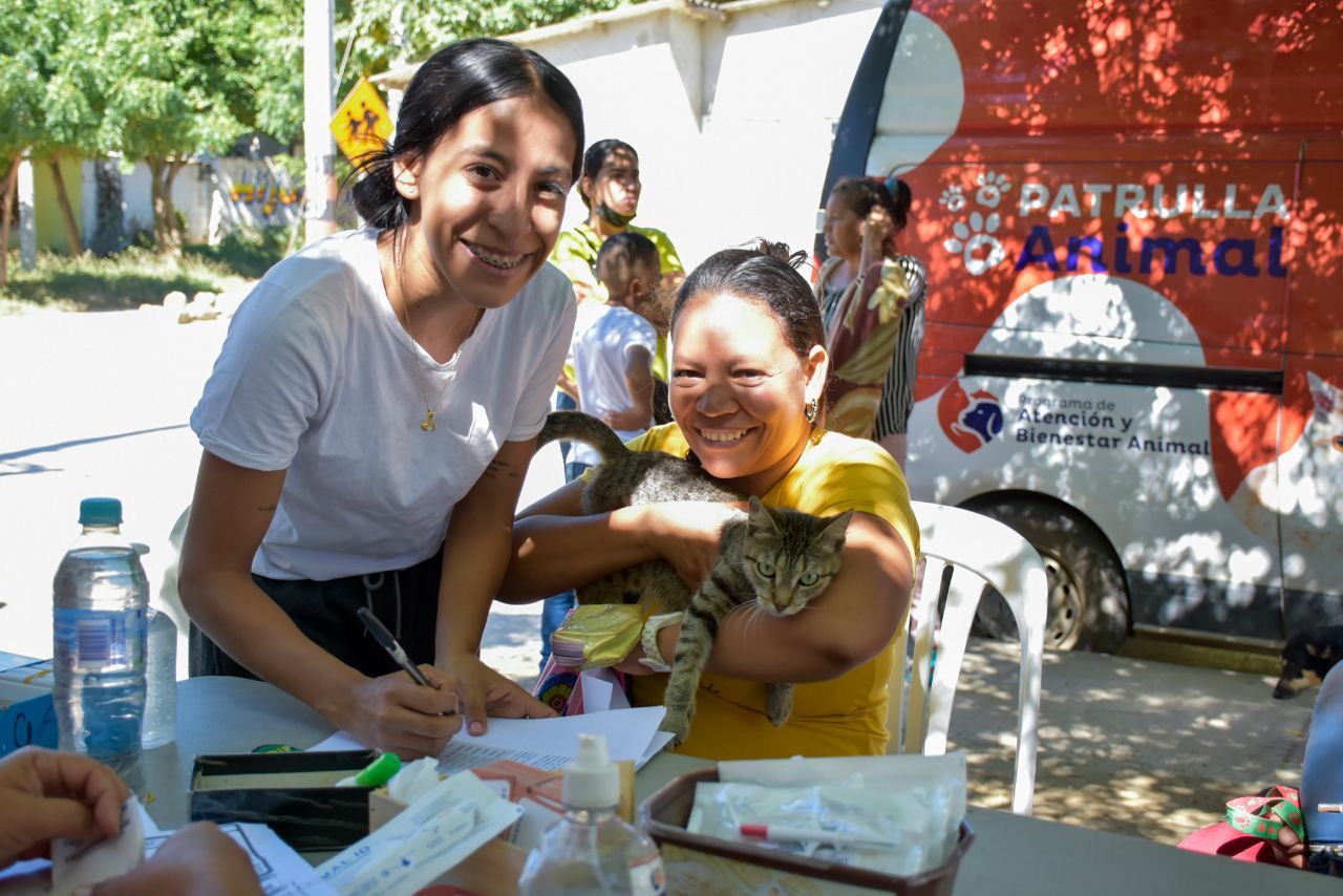 40 Caninos y felinos fueron esterilizados en el barrio Bastidas