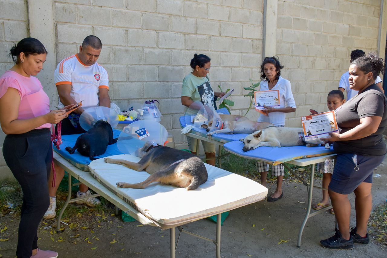 40 Caninos y felinos fueron esterilizados en el barrio Bastidas