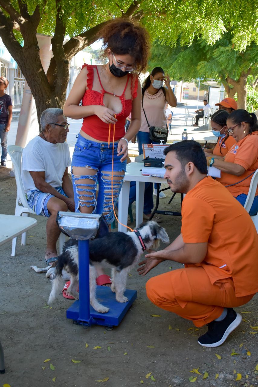 40 Caninos y felinos fueron esterilizados en el barrio Bastidas