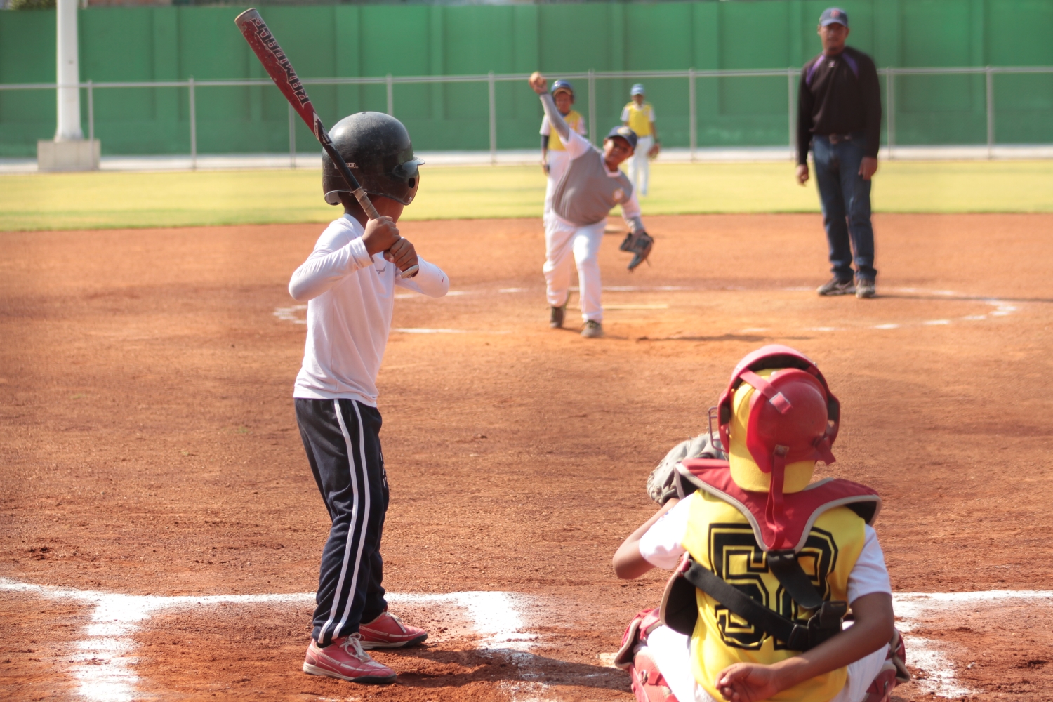Peloteritos de las Escuelas Populares del Deporte, podrían llegar a Grandes Ligas Peloteritos de las Escuelas Populares del Deporte, podrían llegar a Grandes Ligas