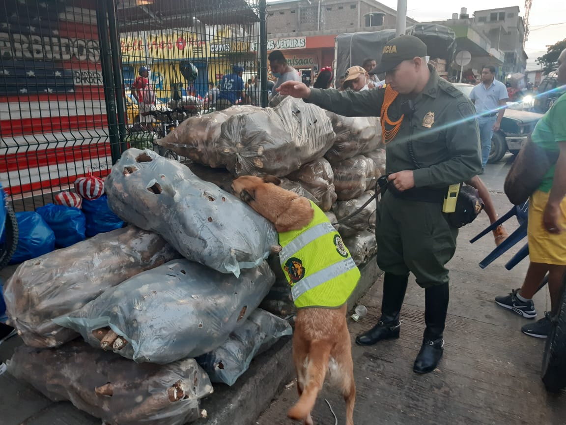 Operativos de control por cuarentena entregan positivos resultados en Santa Marta Operativos de control por cuarentena entregan positivos resultados en Santa Marta