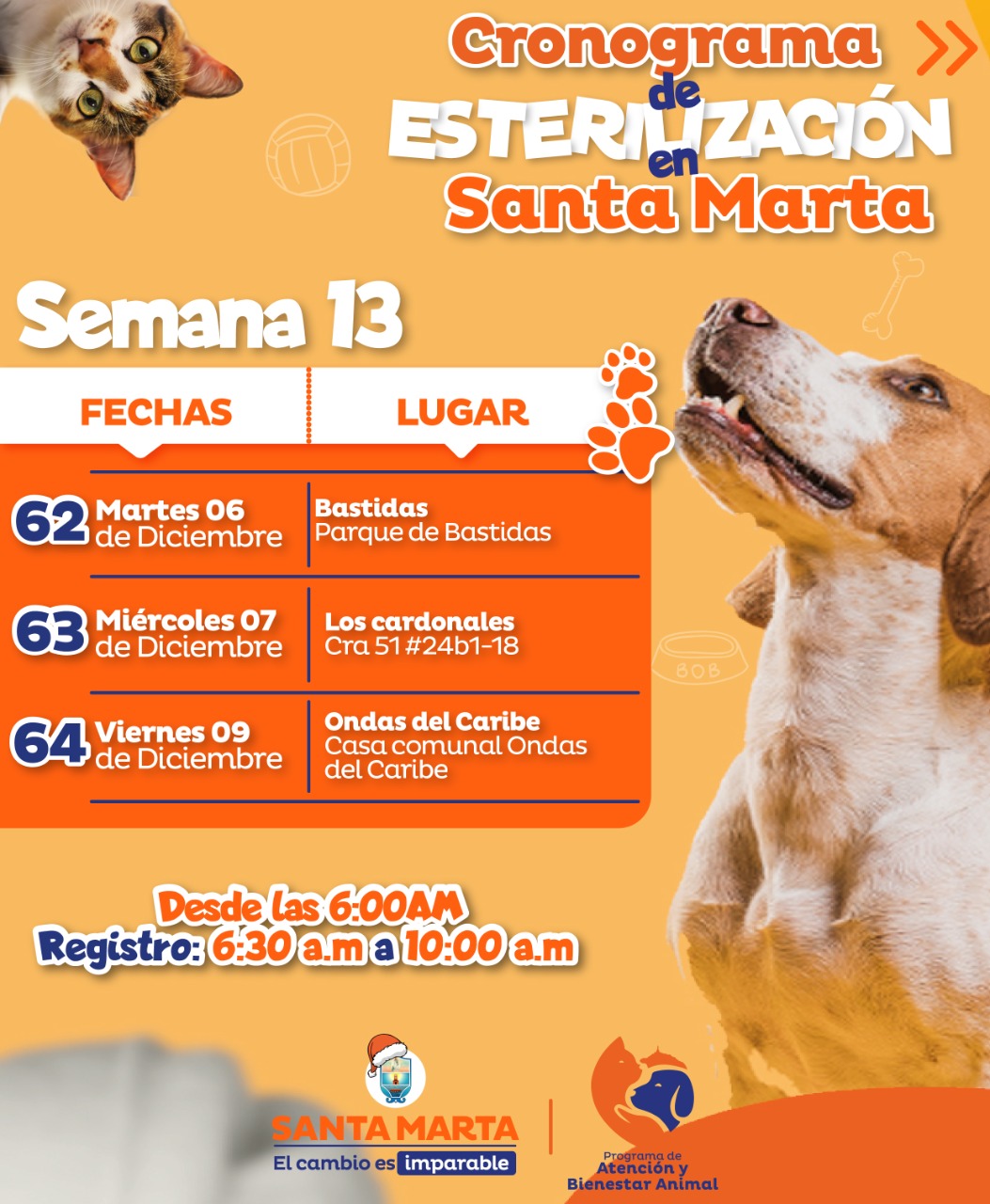 Jornadas masivas de esterilización de caninos y felinos llegan a más sectores del Distrito