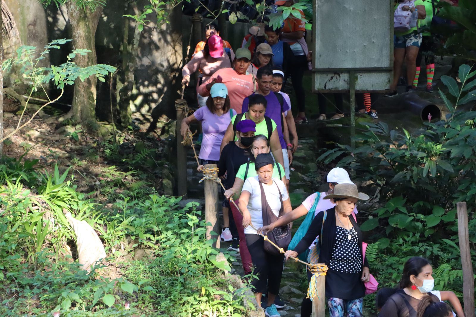 Más de 300 personas participaron en la Ecocaminata de fin de año 2022