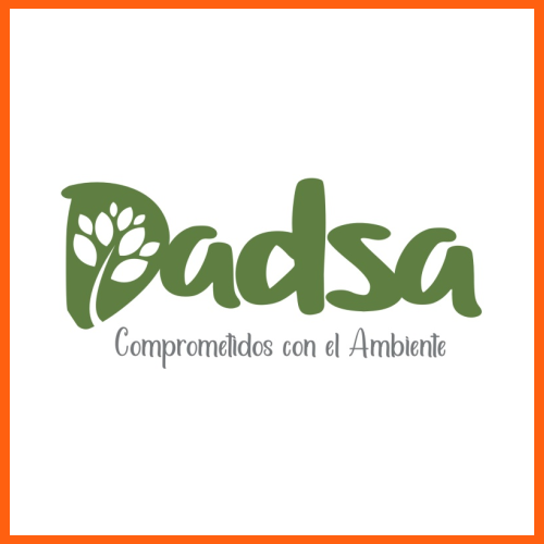 Logo DADSA