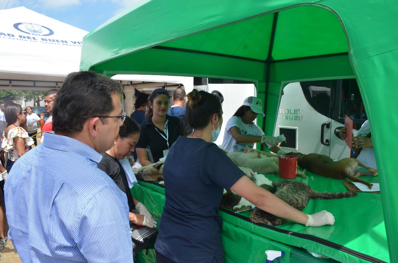 1ra esterilización de perros y gatos se toma Pescaíto con masiva participación ciudadana