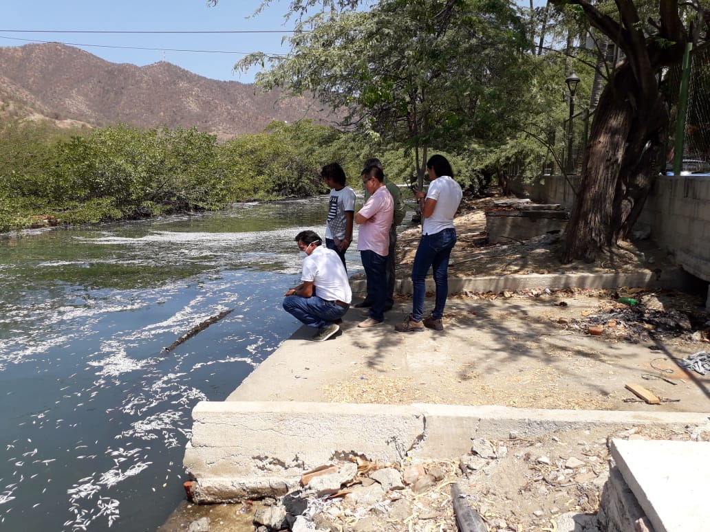 “Muerte de peces en El Rodadero es por fenómeno de ‘El Niño’”: Dadsa “Muerte de peces en El Rodadero es por fenómeno de ‘El Niño’”: Dadsa