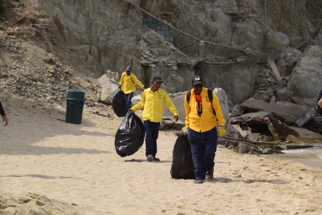En lo que va del 2019, Essmar ha realizado 195 jornadas de limpieza en las playas samarias