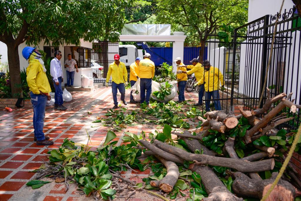 Essmar retiró más de 55 toneladas de material vegetal y RCD en dos puntos importantes para la ciudad Essmar retiró más de 55 toneladas de material vegetal y RCD en dos puntos importantes para la ciudad