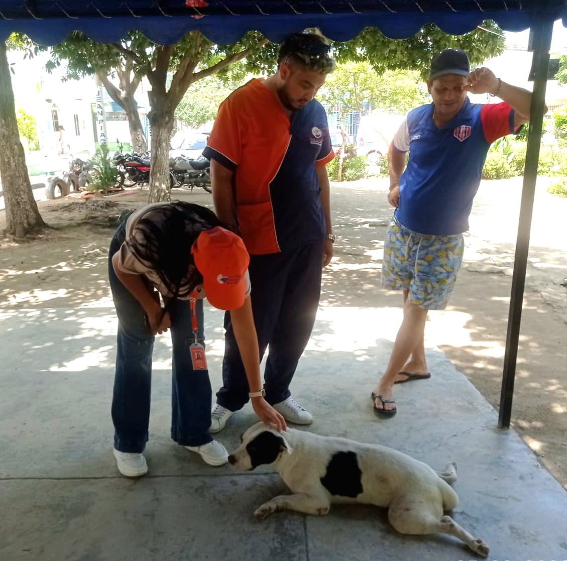 Alcaldía presente en la jornada de bienestar y esterilización de Fundecaribe