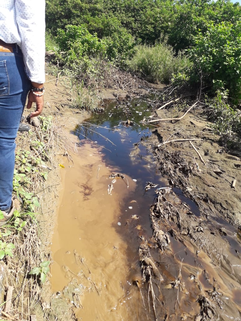 Dadsa y Essmar multarían a Interaseo por vertimiento de lixiviados en Palangana