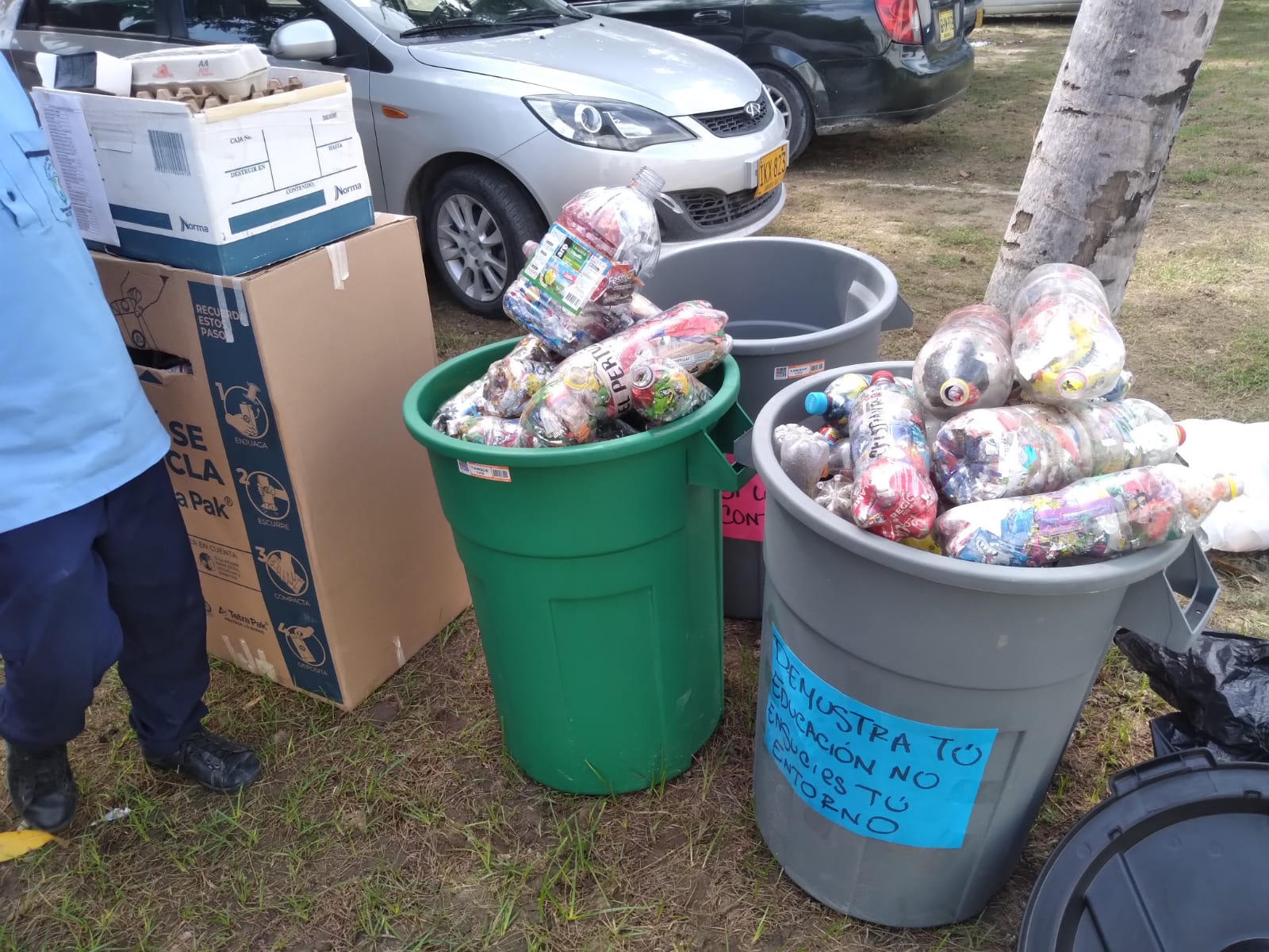 Alcaldía Distrital reconocerá a más de 450 estudiantes participantes del concurso Grupos Eco-lógicos Escolares del DADSA