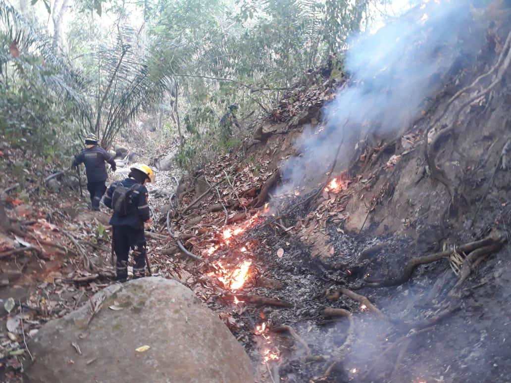 Alcaldía Distrital consigue apoyo aéreo para apagar incendios forestales en Tigrera y Don Jaca