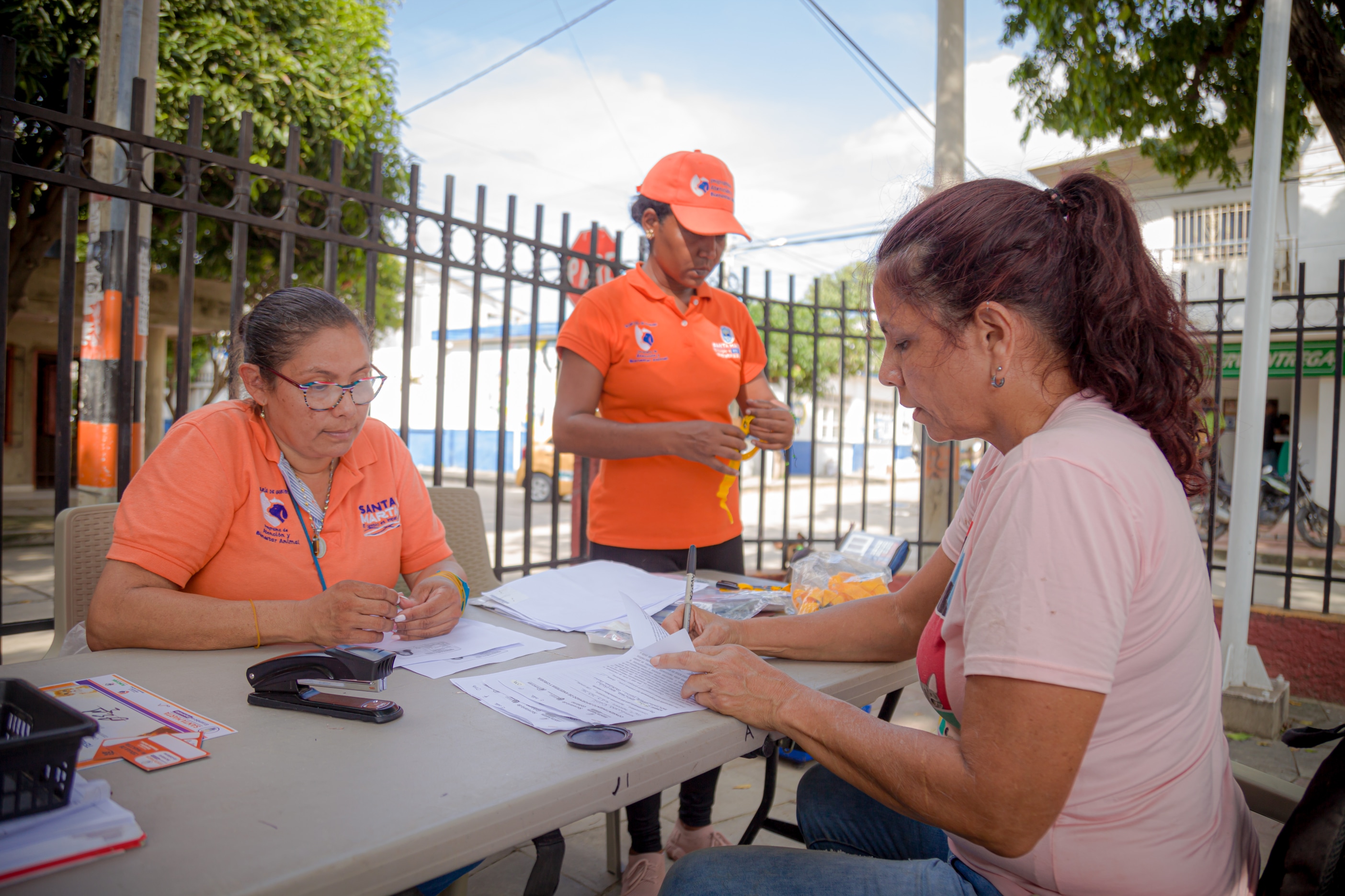 Jornadas masivas de esterilización de caninos y felinos llegan a más sectores del Distrito