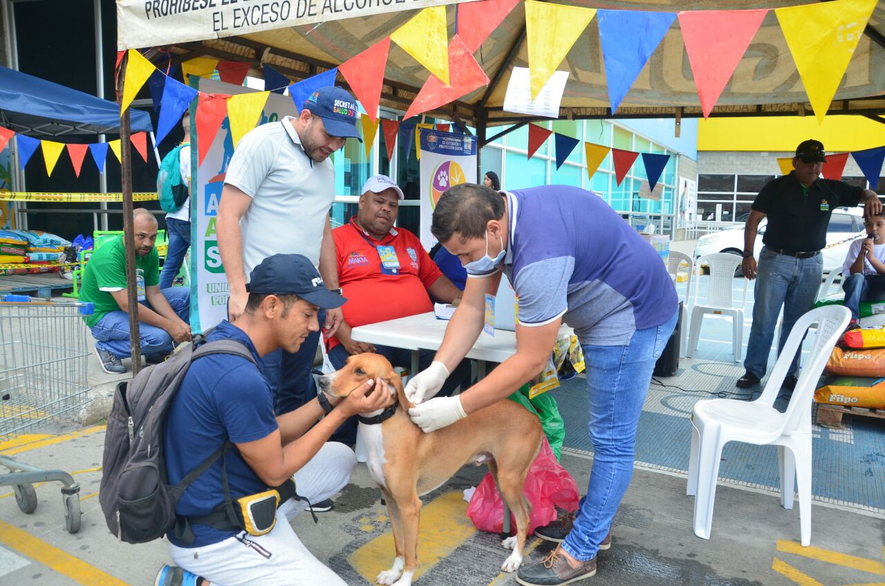 Samarios y Dadsa se solidarizan de forma masiva en Dotatón para animales de calle
