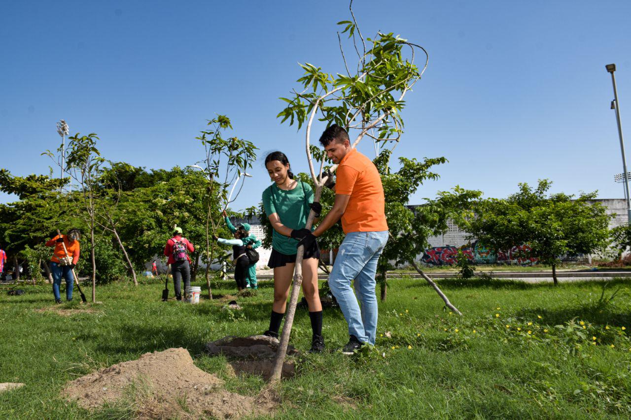 Alcaldía lideró limpieza de la quebrada Bureche y siembra de árboles en la Villa Bolivariana