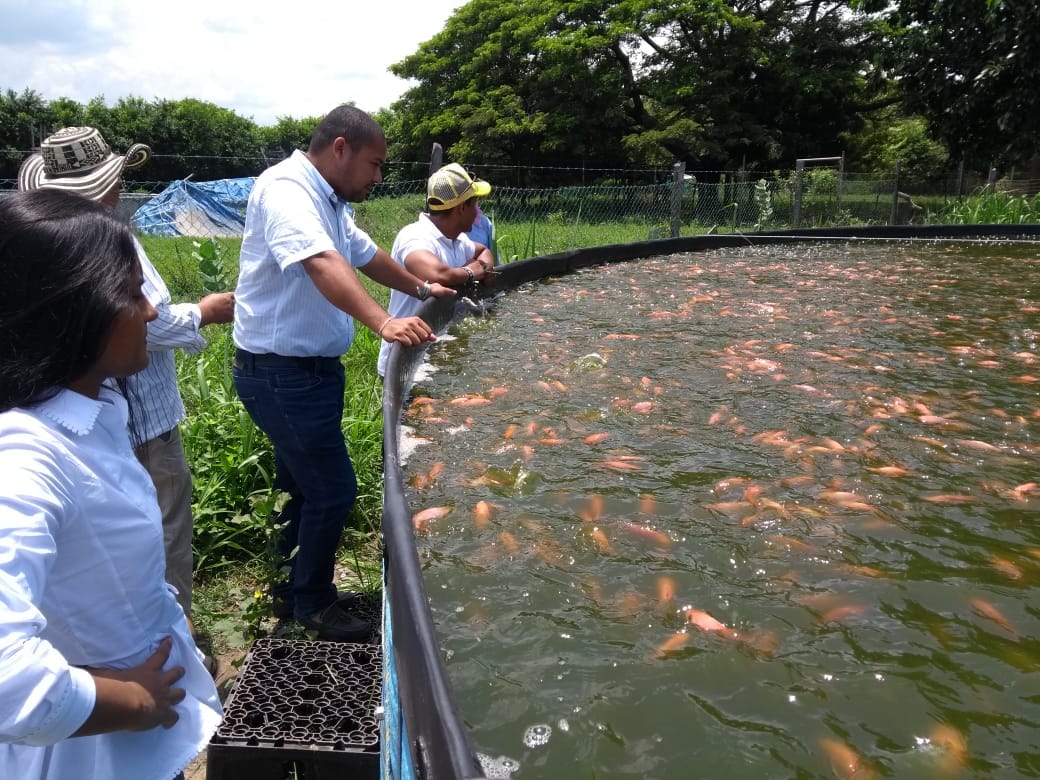 Distrito busca capacitar a más de 300  campesinos sobre temas de Acuicultura