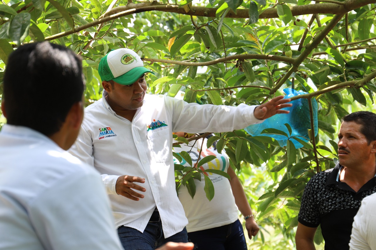 Distrito pide acompañamiento del ICA a campesinos, ante posible presencia de la “Mosca de la fruta”