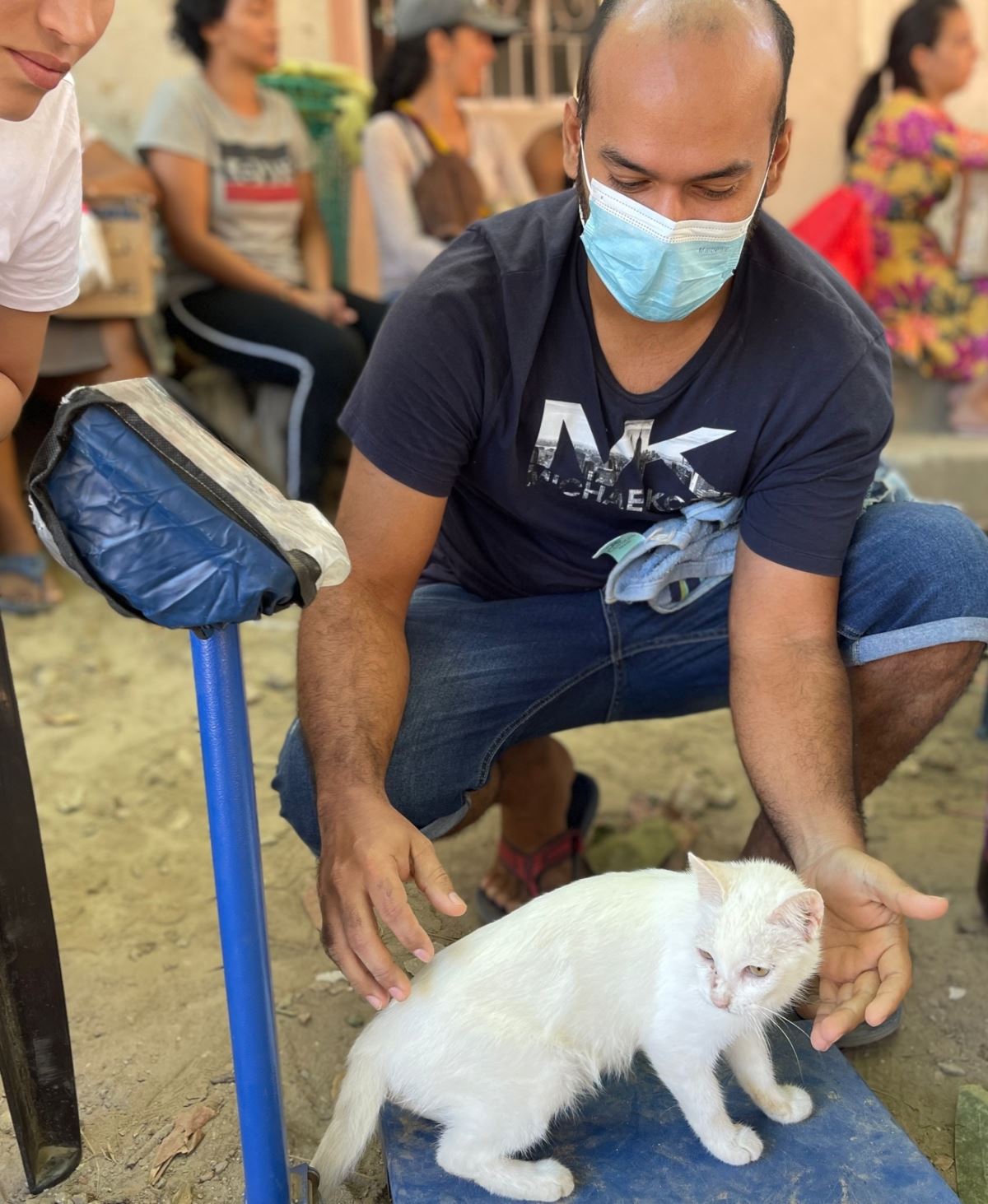  La gatita sorda que se robó el corazón de todos en las jornadas de esterilización de la Alcaldía