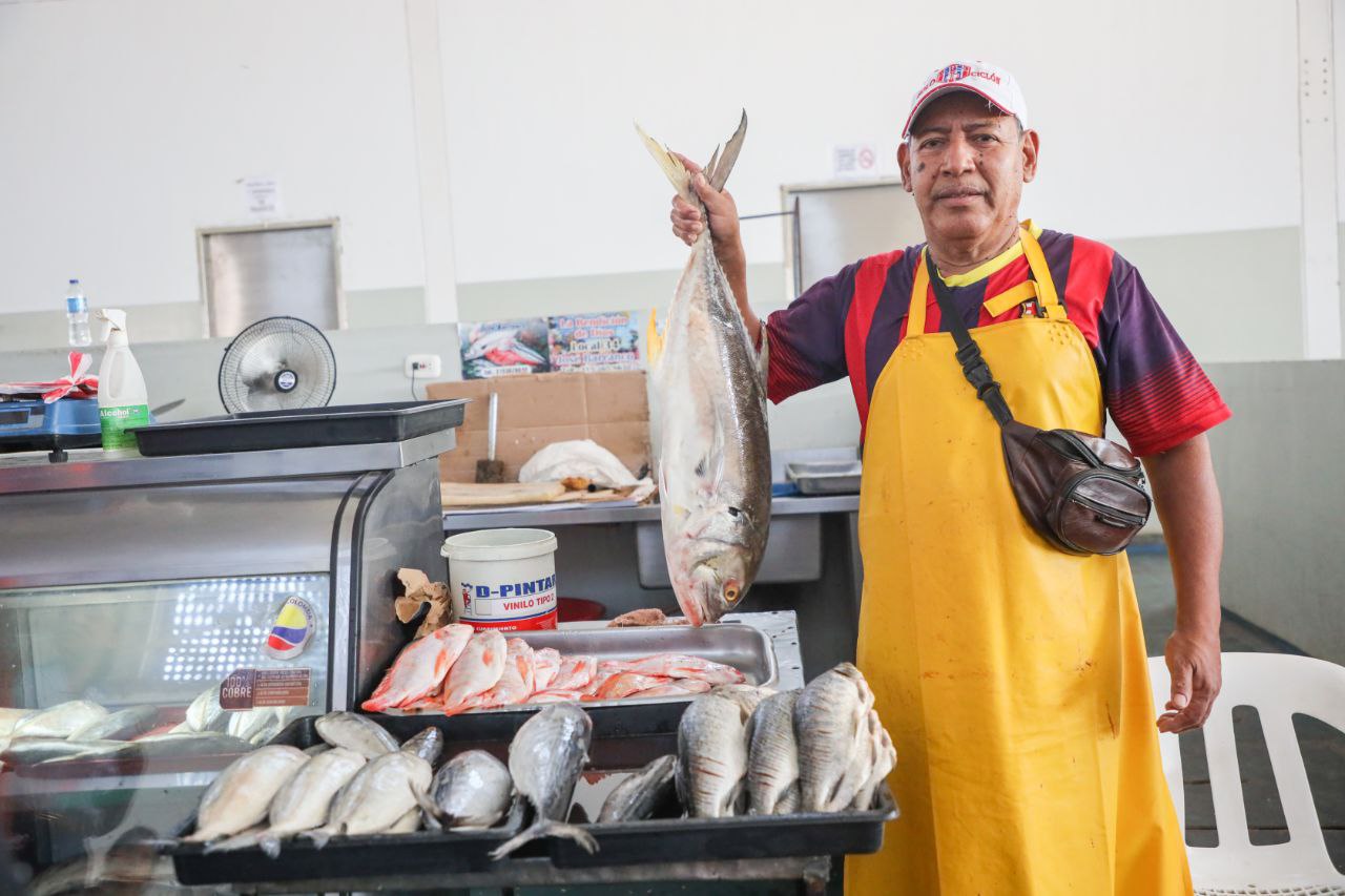 Plazoleta de Pescados y Mariscos está lista para ofrecer productos de  calidad durante Semana Santa | Alcaldía Distrital de Santa Marta