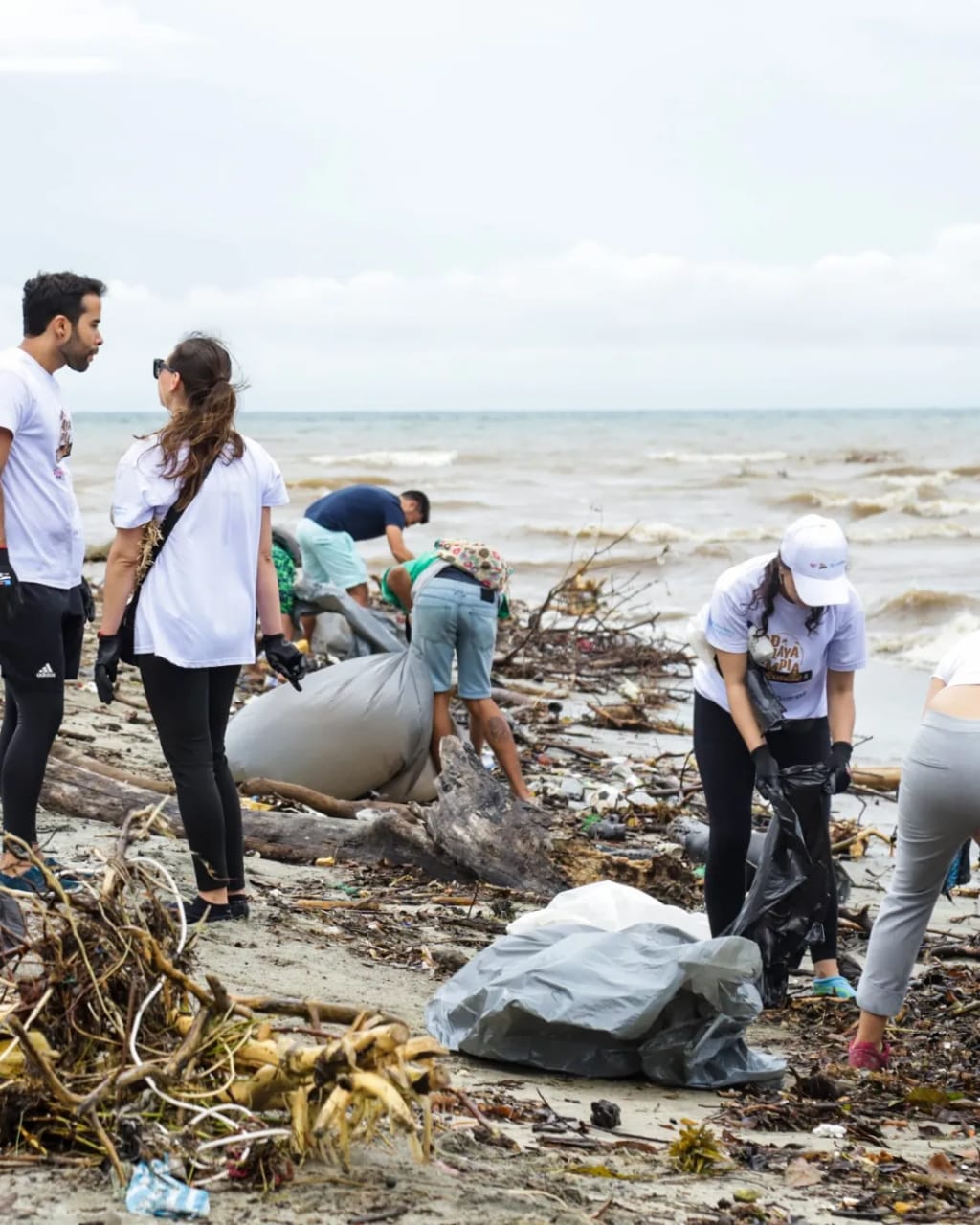 Alcaldía Distrital acompañó jornada de limpieza en el sector de Los Cocos