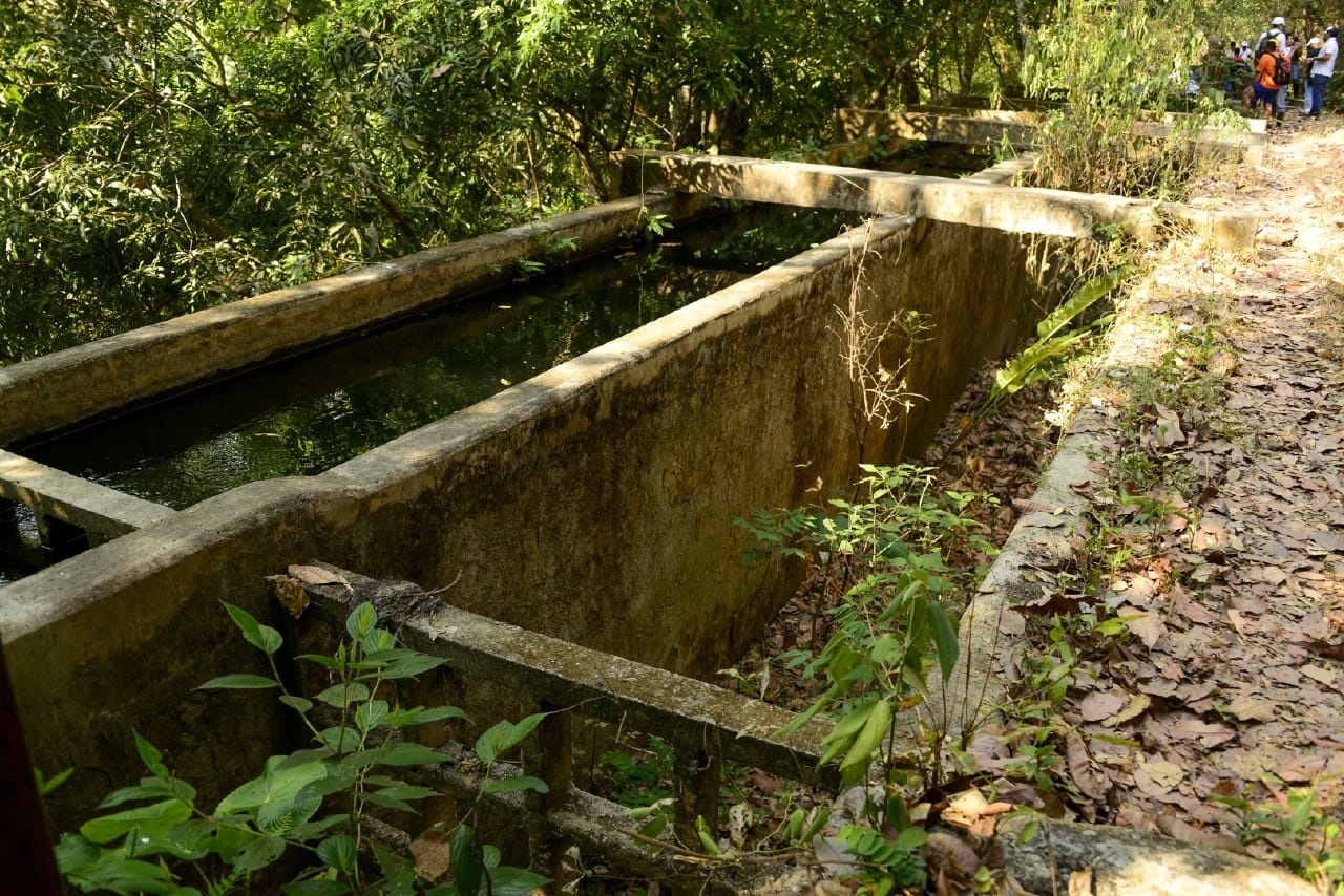 Planta de Tratamiento El Roble aumentará su capacidad de 380 a 550 litros por segundo Planta de Tratamiento El Roble aumentará su capacidad de 380 a 550 litros por segundo
