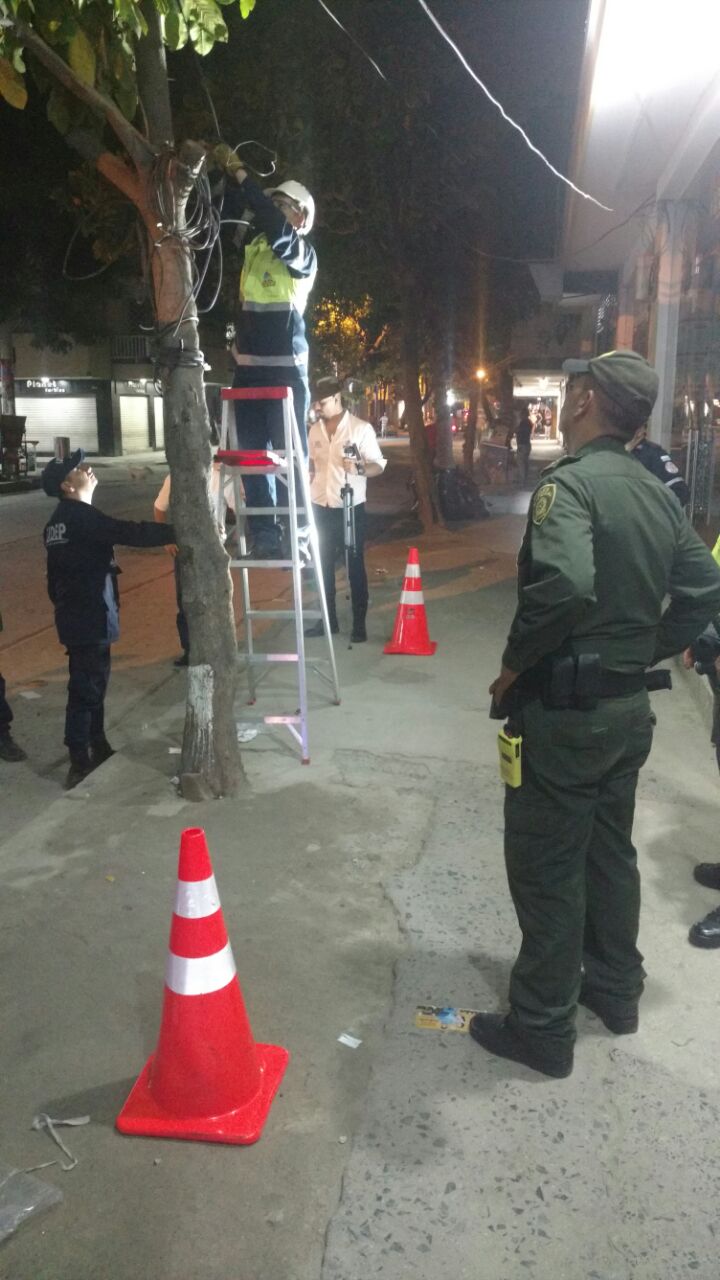 Alcaldía está retirando cableado que energiza árboles en la carrera quinta