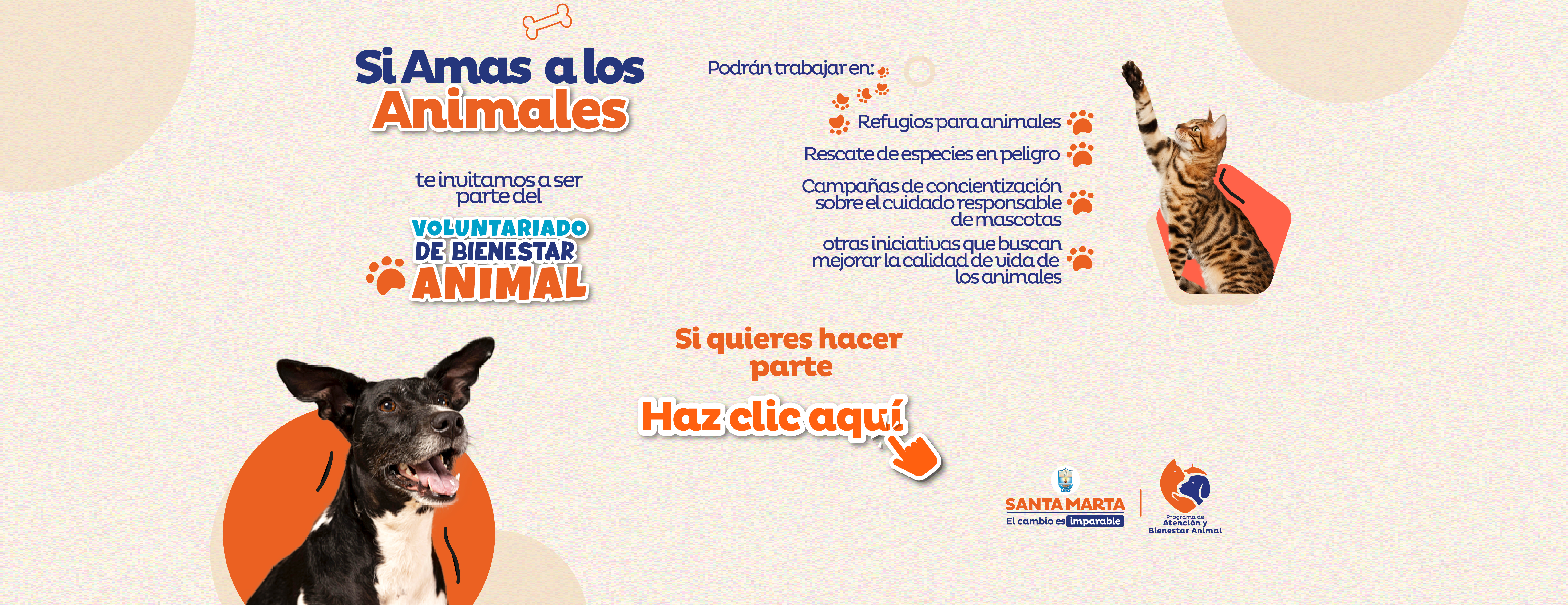 https://www.santamarta.gov.co/sites/default/files/revslider/image/Mesa%20de%20trabajo%201%20copia%20%282%29.jpg
