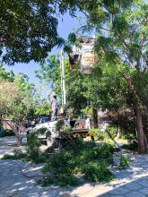alcaldia_de_santa_marta_continua_jornadas_de_juntos_por_el_parque_un_proyecto_de_limpieza_en_los_parques_del_distrito