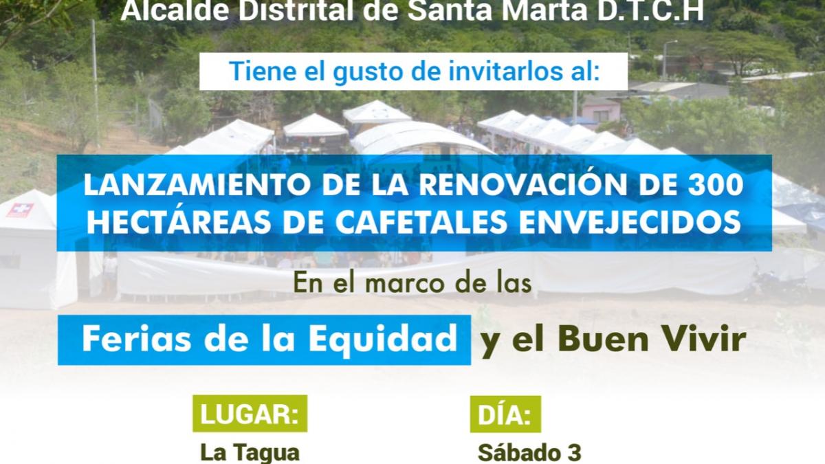 Distrito iniciará proyecto de renovación de 300 hectáreas de café envejecido