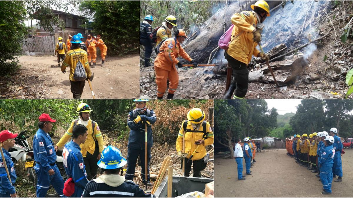 “El incendio forestal en Marquetalia, ya fue controlado por los Bomberos”: Ogricc