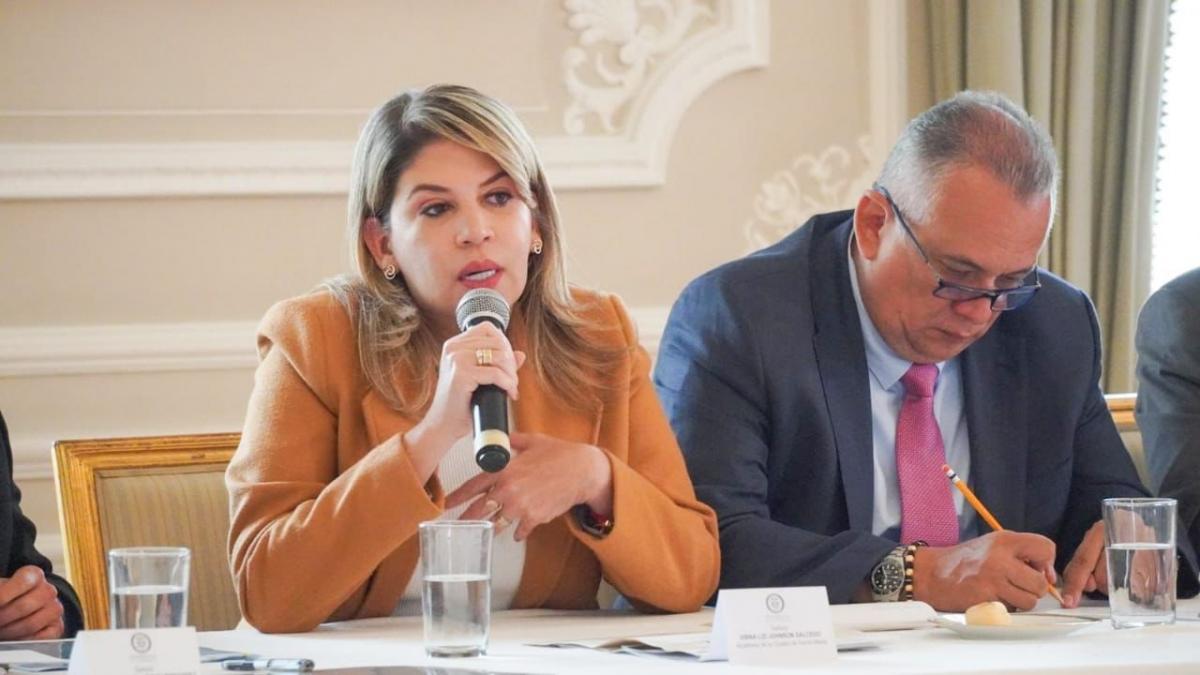 Alcaldesa Virna Johnson formula urgente llamado a la CREG para que atienda aumento de las tarifas de electricidad en Santa Marta