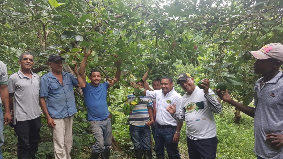 25 nuevos campesinos ingresan al proyecto la Sierra Vuelve a Sembrar