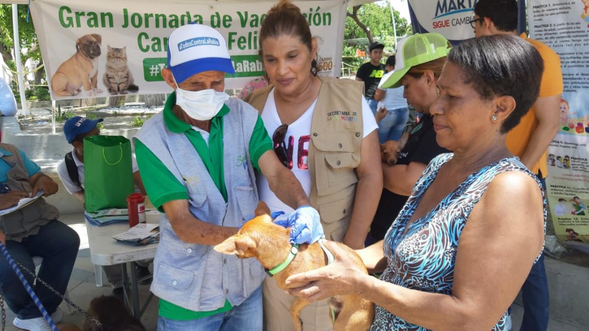 Los samarios acudieron a vacunar sus mascotas en el Día Mundial Contra la Rabia