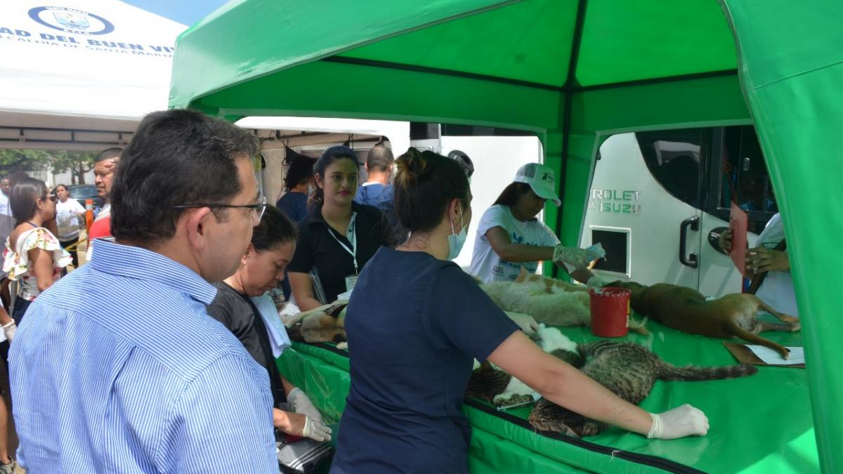 1ra esterilización de perros y gatos se toma Pescaíto con masiva participación ciudadana