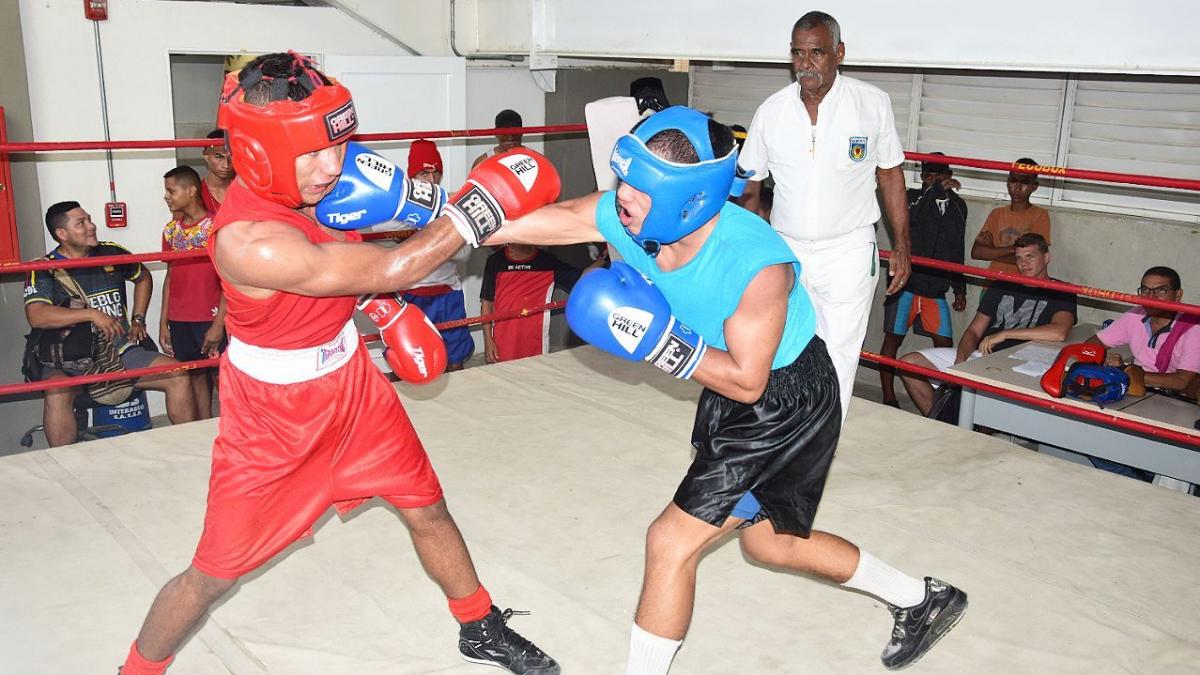 A “golpes agigantados” avanza boxeo de Santa Marta