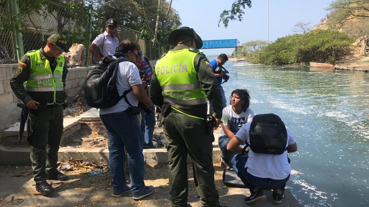 Alcaldía previene emergencia ambiental y de salud al retirar cerca de una tonelada de peces muertos