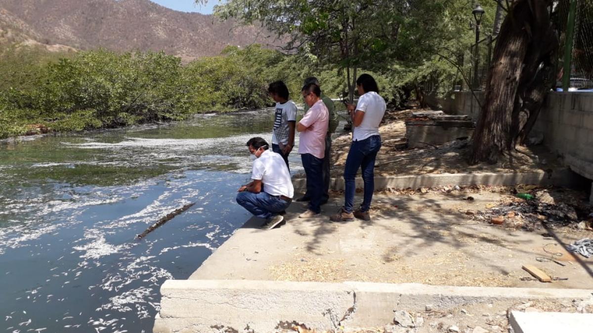 “Muerte de peces en El Rodadero es por fenómeno de ‘El Niño’”: Dadsa