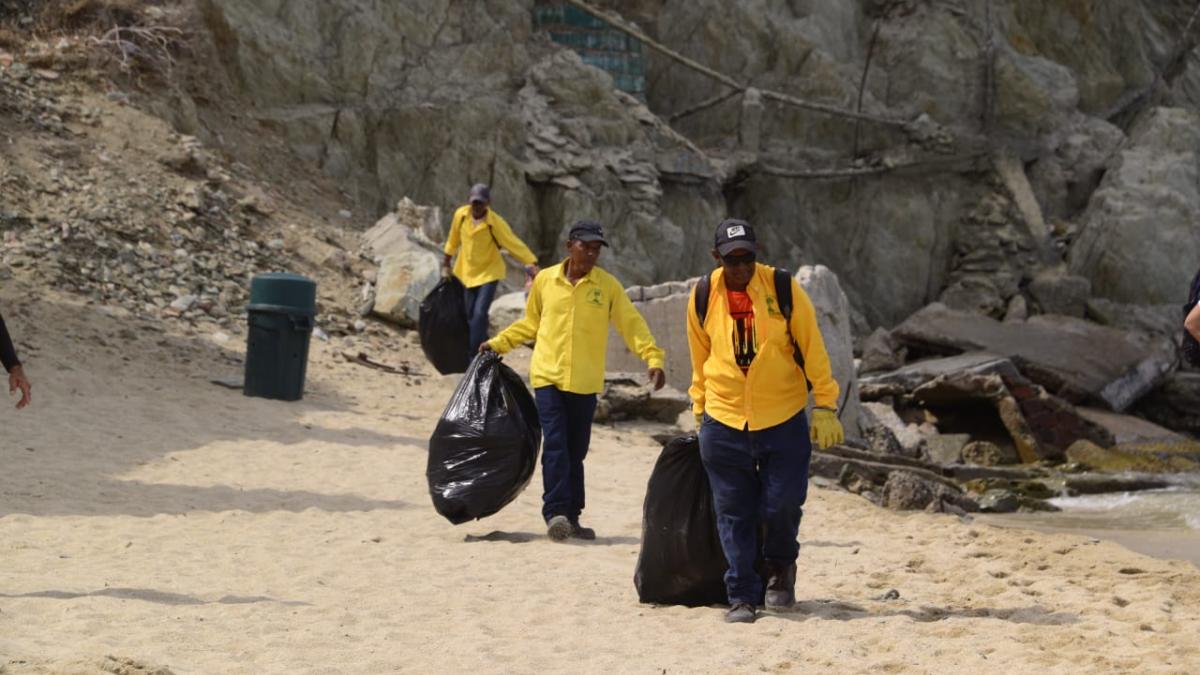 En lo que va del 2019, Essmar ha realizado 195 jornadas de limpieza en las playas samarias