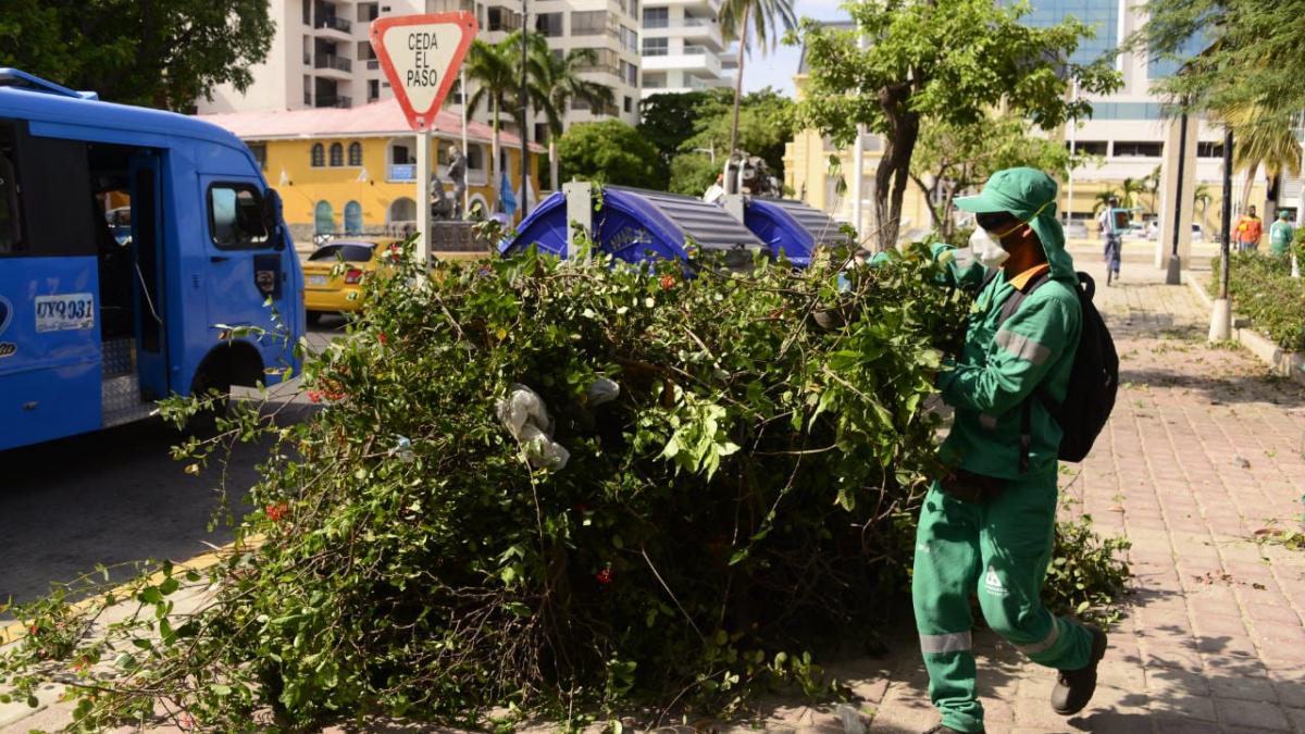 Essmar lidera gran jornada de oxigenación en la Bahía y limpieza del malecón