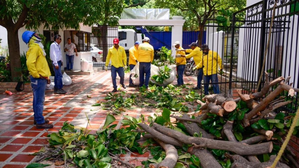 Essmar retiró más de 55 toneladas de material vegetal y RCD en dos puntos importantes para la ciudad