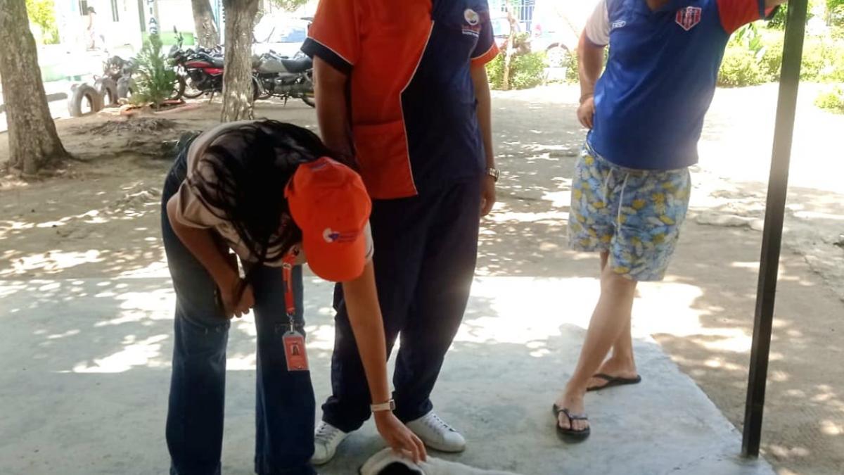 Alcaldía presente en la jornada de bienestar y esterilización de Fundecaribe