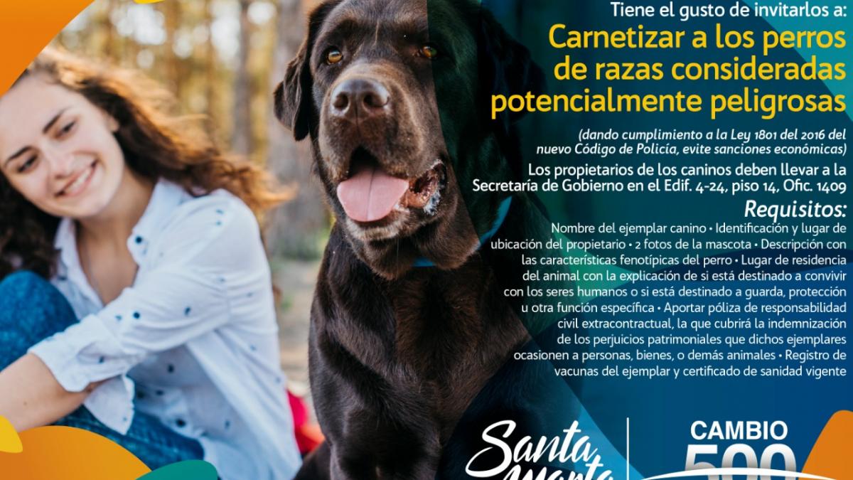 Carnetización de caninos ‘potencialmente peligrosos’ en la Secretaría de Gobierno