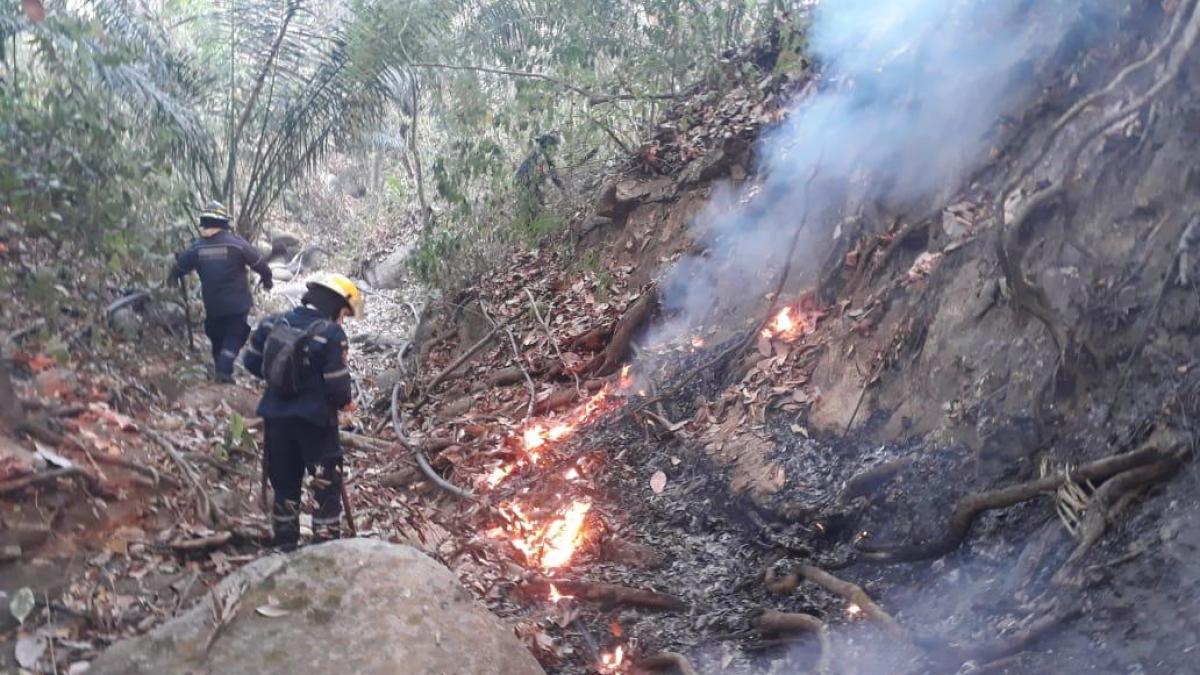 Alcaldía Distrital consigue apoyo aéreo para apagar incendios forestales en Tigrera y Don Jaca