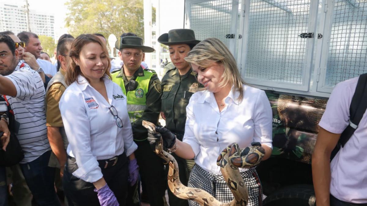 ¡Hit ambiental en Santa Marta! Ya está en marcha 1ra Unidad Móvil de Rescate de Fauna Silvestre del Caribe