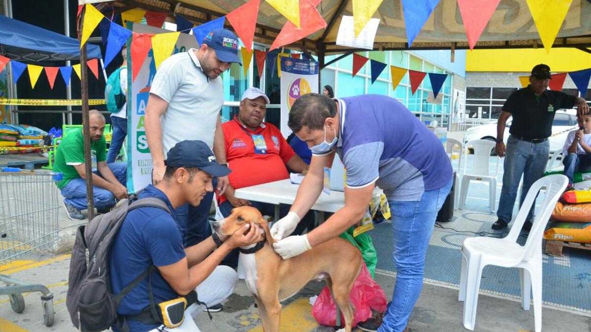 Samarios y Dadsa se solidarizan de forma masiva en Dotatón para animales de calle