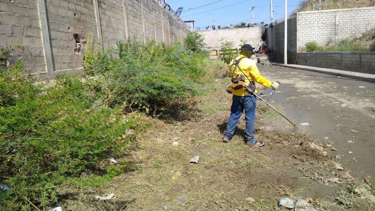 La Essmar ‘se toma’ El Boro con jornada de limpieza