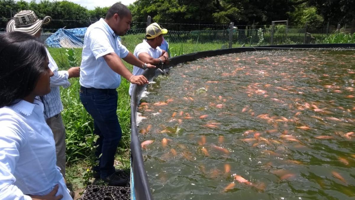 Distrito busca capacitar a más de 300  campesinos sobre temas de Acuicultura