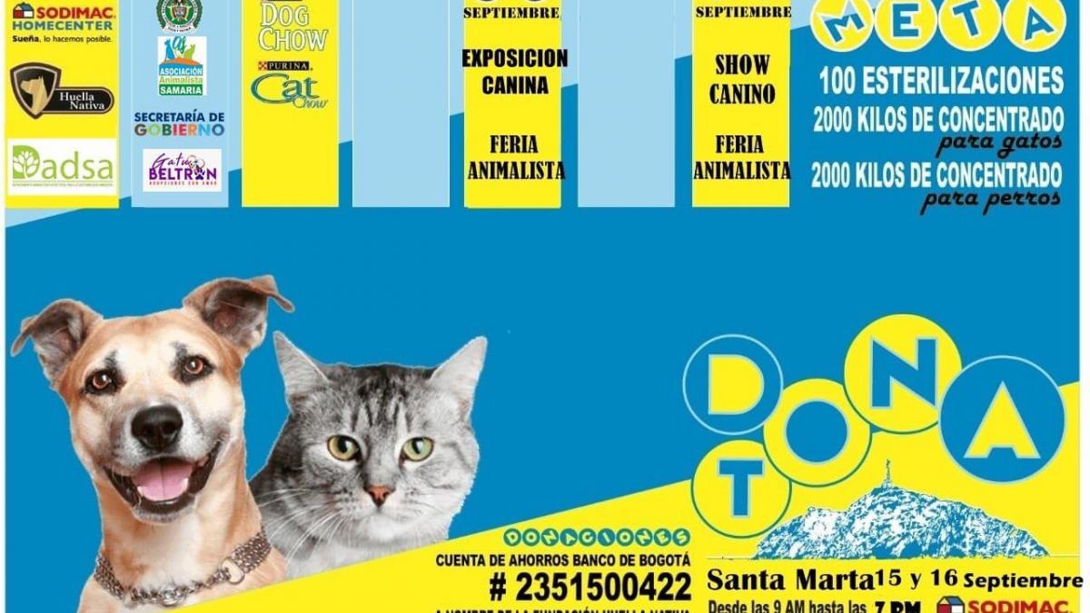 Todo listo para la Gran Donatón en beneficio de los perros y gatos en situación de calle